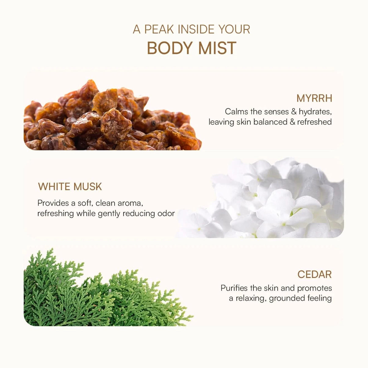 Majestic Ride Body Mist: A Bold Blend of Myrrh, Cedar & White Musk - Bubble Me