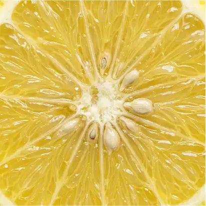 Citrus Limon