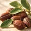 Jojoba Oil 