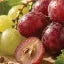 Grapeseed Oil
