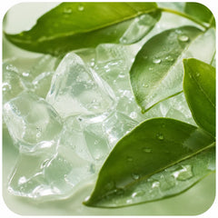 Natural Betaine