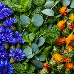 Peppermint, Eucalyptus + Botanical Herbs