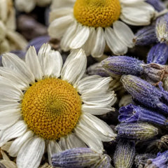 Chamomile + Lavender