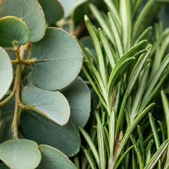 Eucalyptus + Rosemary